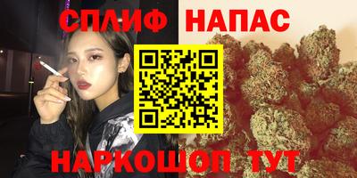 шишки Краснознаменск