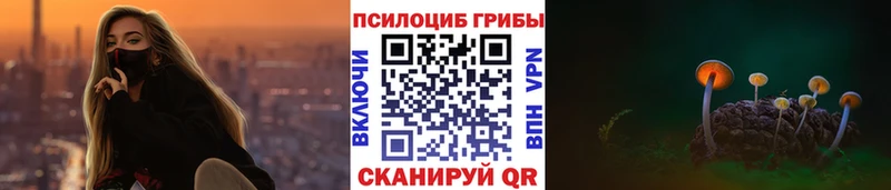 Псилоцибиновые грибы Cubensis Мончегорск